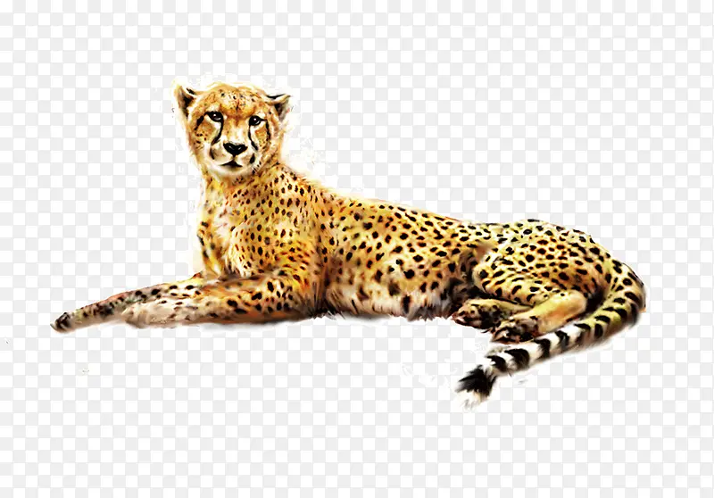 ��Ʒʵ�ﱪ��-������