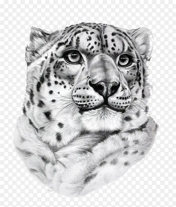 �ֻ汪��ͷ-������