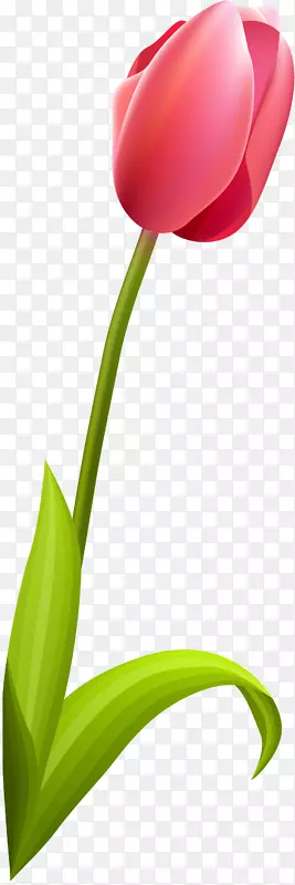 ����ֲ��������ٺϿƻ���������-������