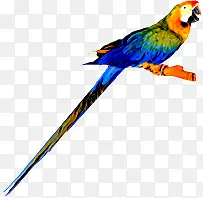 �ɰ���ɫ��������-������