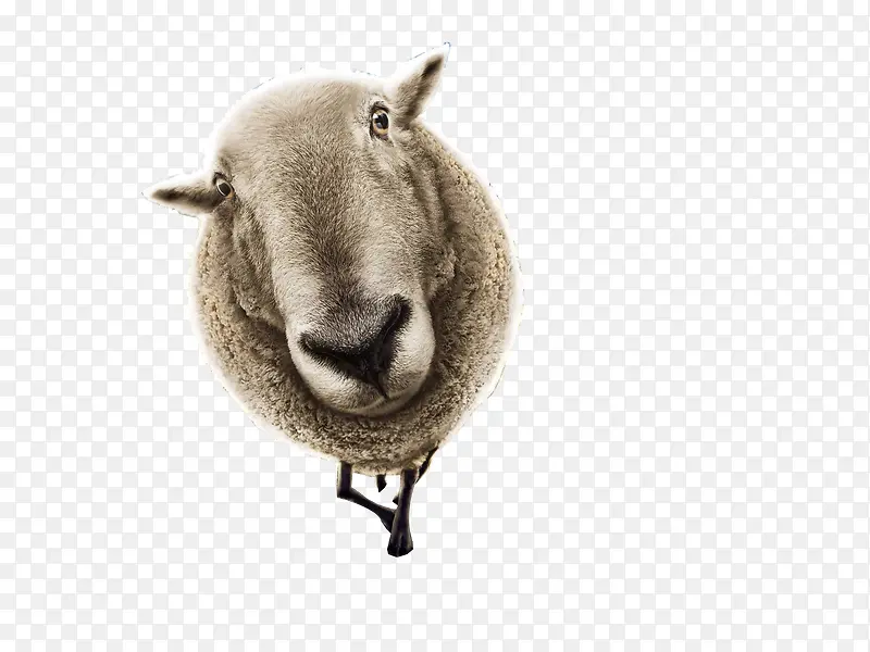 ������Ӱ��������-������