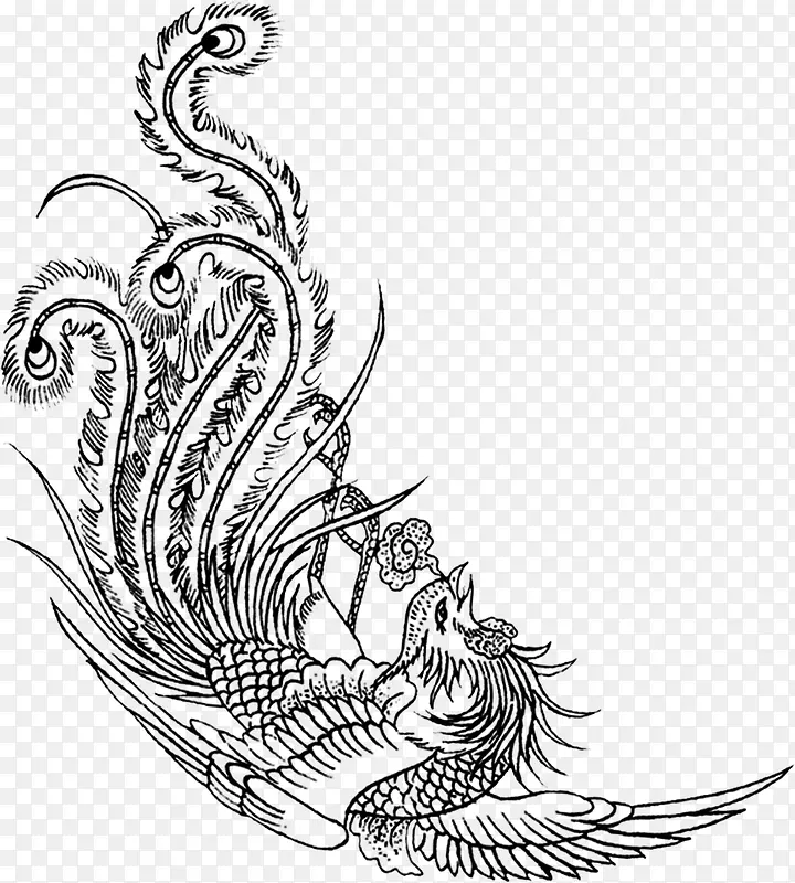 ��ɫ������������-������