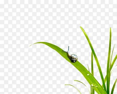 �̲���ţ���е���ţ-������