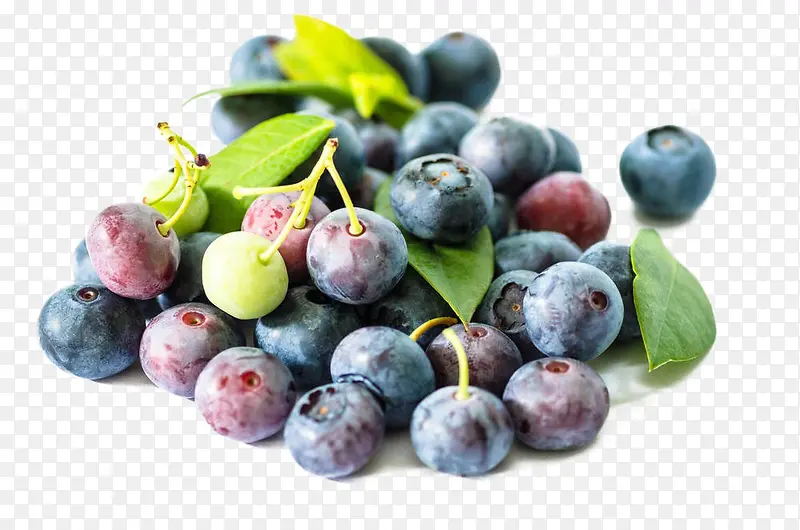 ��ݮ-������