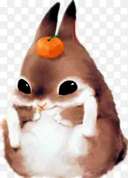 ������ɫС��-������