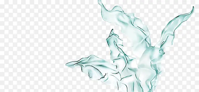 ����͸����Ҷ-������