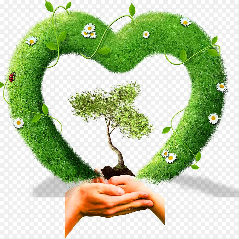 ��ɫ����-������