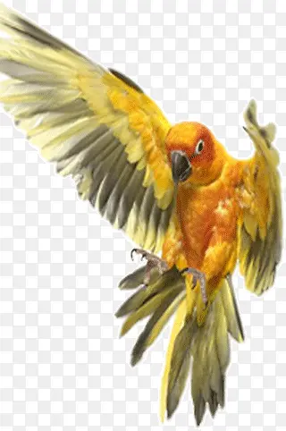 ��������-������