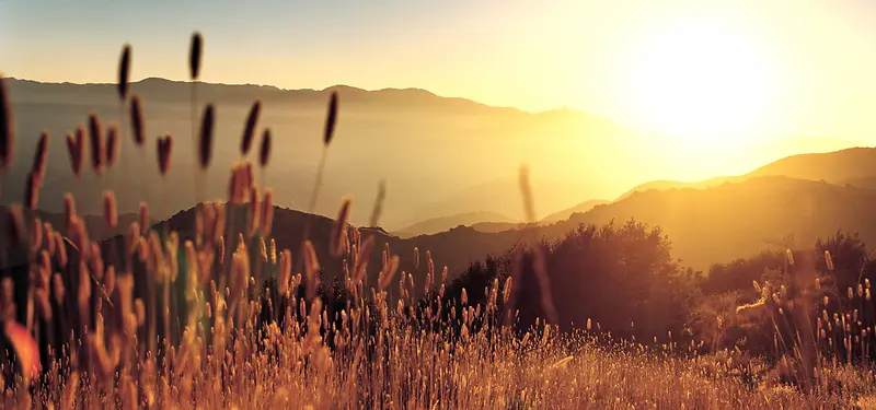 Ϧ����Ӱ����-������