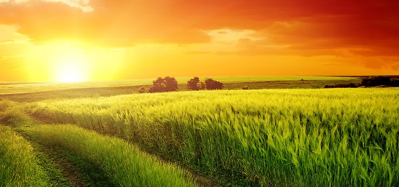 Ϧ����Ӱ����-������