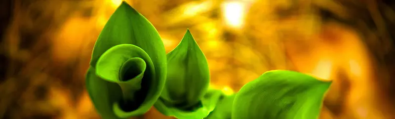 ���ݱ���-������