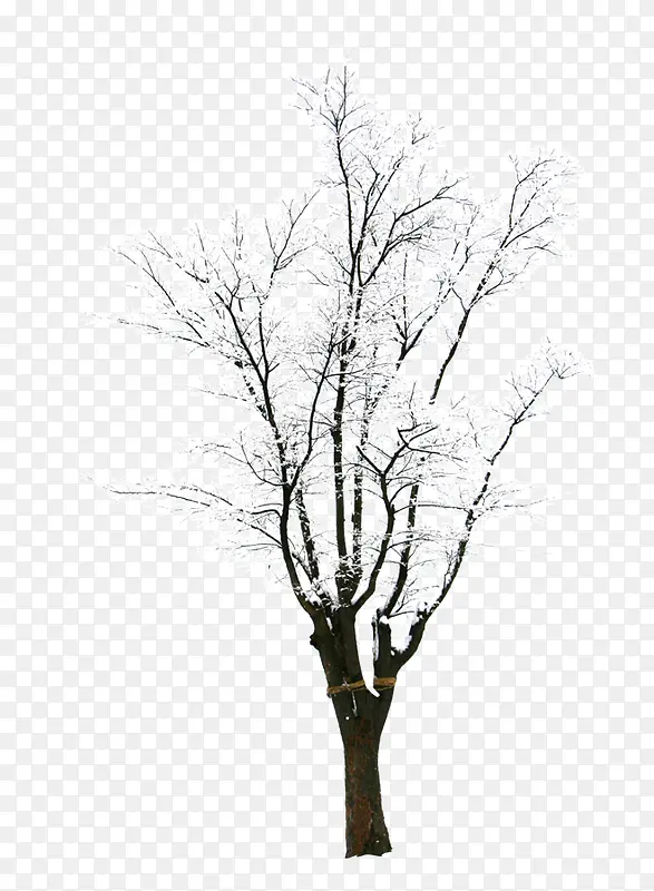 ��-������