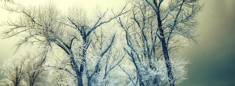 ѩ��-������