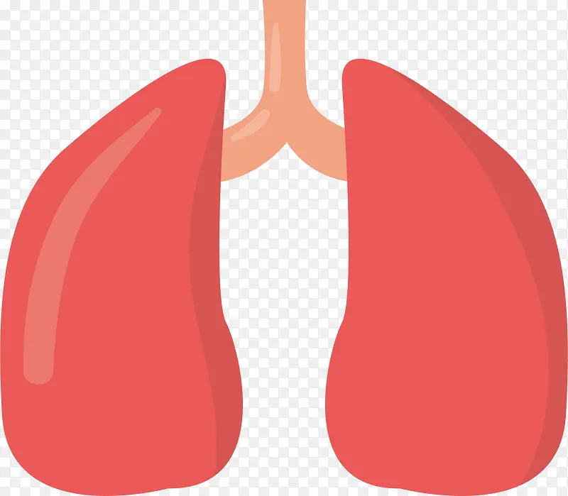 ��pngʸ���ز�-������