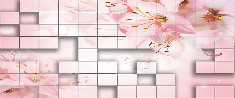 �������屳��-������