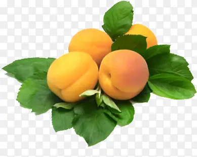 ˮ��-������