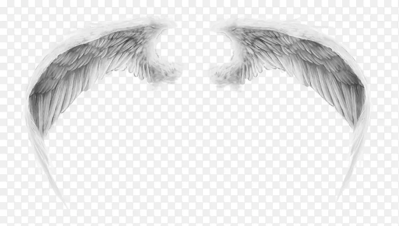 ��ɫ��ë���-������