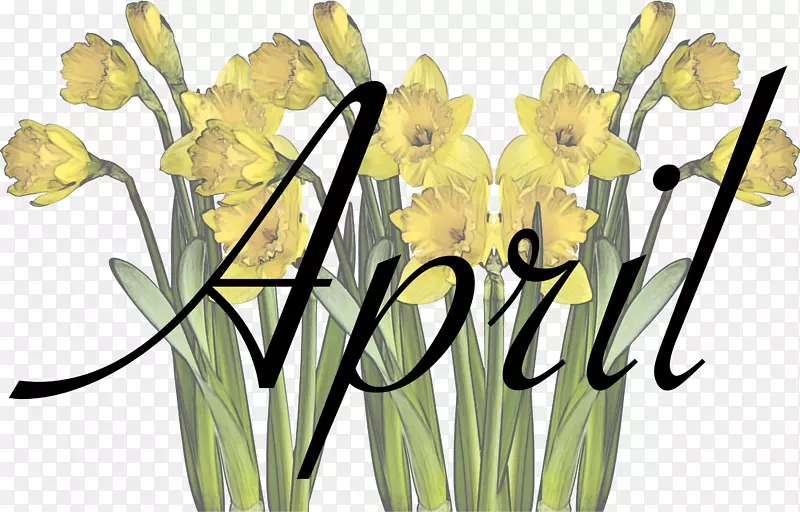 �л�������ƻ��ܻ���-���컨-������