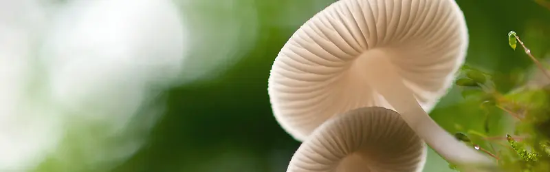 ��������-������