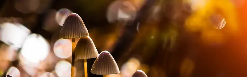 ��������-������