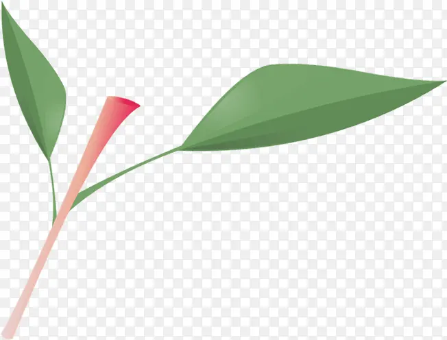 ��Ҷʱ�б�������-������