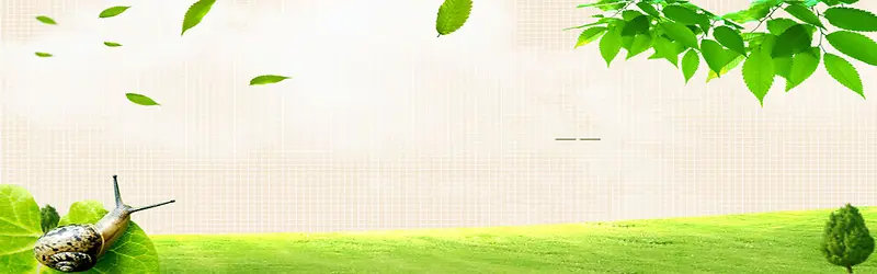 ����ʱ�б���-������