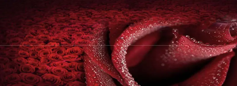 ����ʱ�б���-������