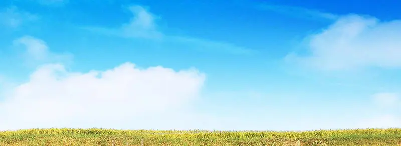 ����ʱ�б���-������