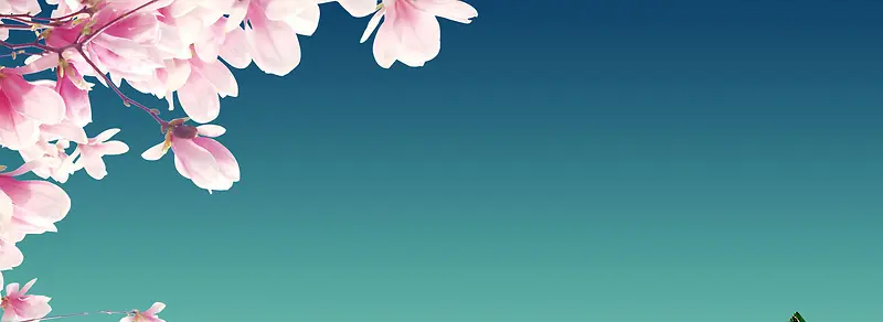 ����ʱ�б���-������