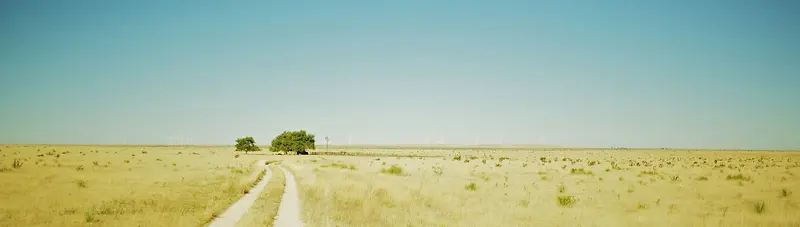 ����ʱ�б���-������