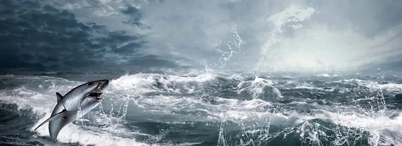 ����ʱ�б���-������