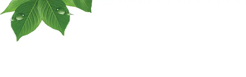 ����ʱ�б���-������