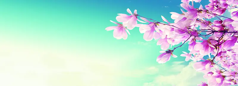 ����ʱ�б���ͼ-������