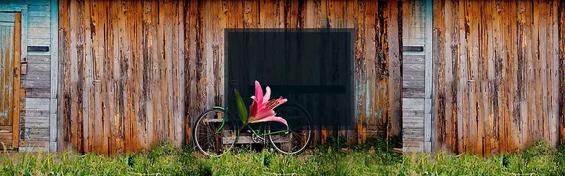 ����ʱ�б���-������