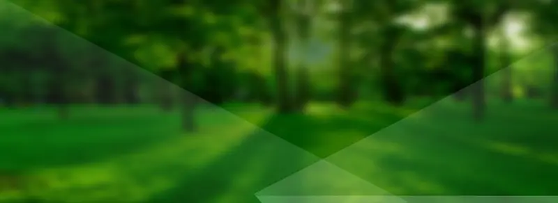 ����ʱ�б���ͼ-������