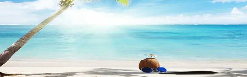 ����ʱ�б���-������