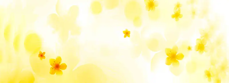 ����ʱ�б���-������