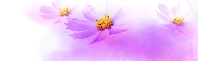 ����ʱ�б���-������