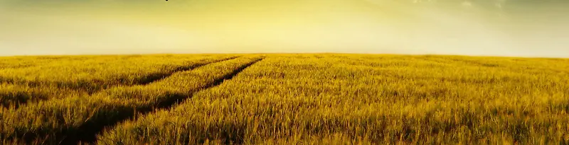 ����ʱ�б���-������