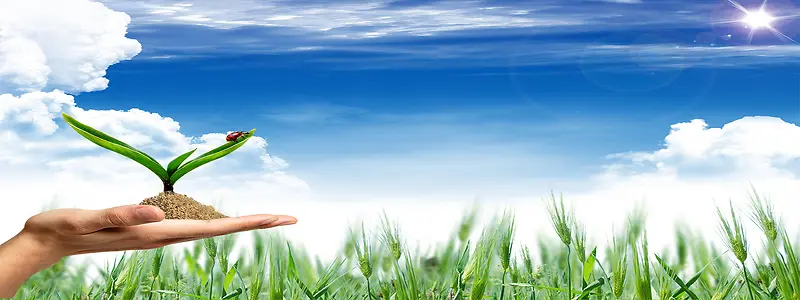 ����ʱ�б���-������