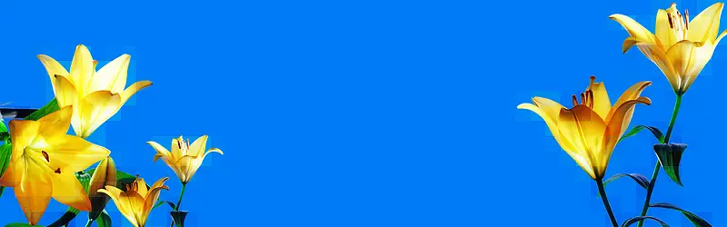 ����ʱ�б���-������