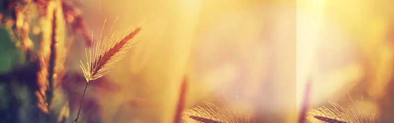 ����ʱ�б���-������