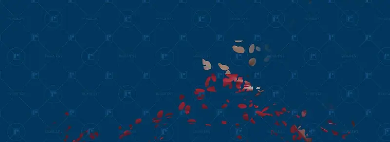 ����ʱ�б���-������