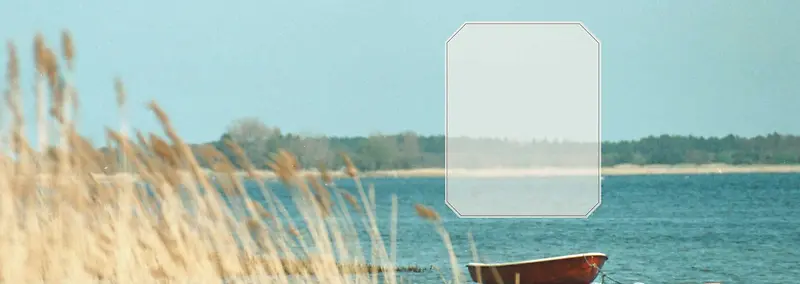 ����ʱ�б���-������