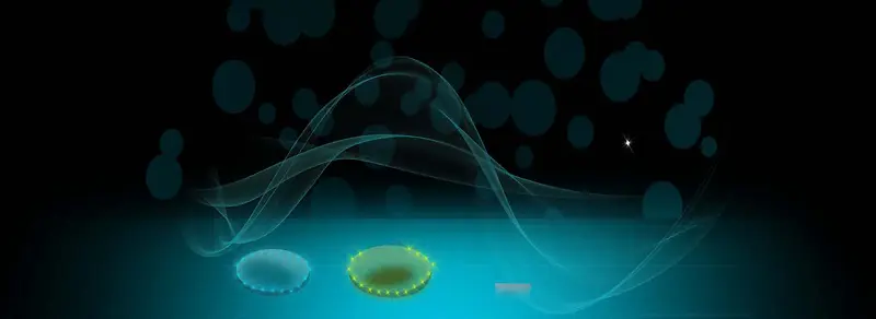 ����ʱ�б���-������