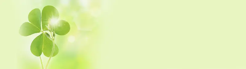 ����ʱ�б���-������