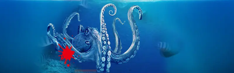 ����ʱ�б���-������