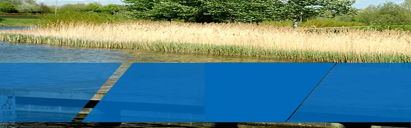 ����ʱ�б���-������