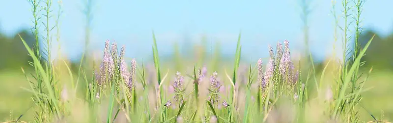 ����ʱ�б���-������