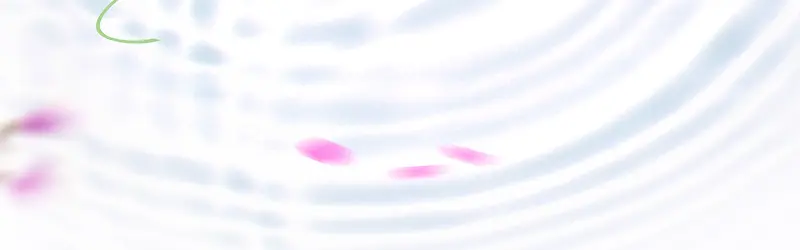 ����ʱ�б���-������